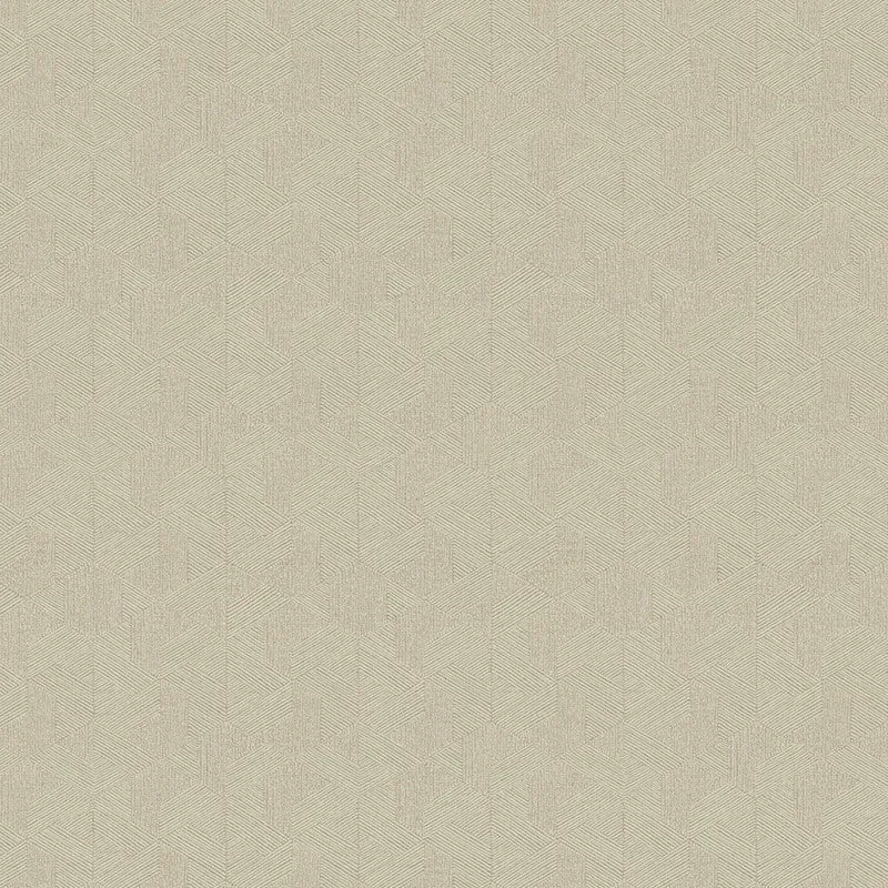 Abstract Geo Modern Wallpaper in Metallic