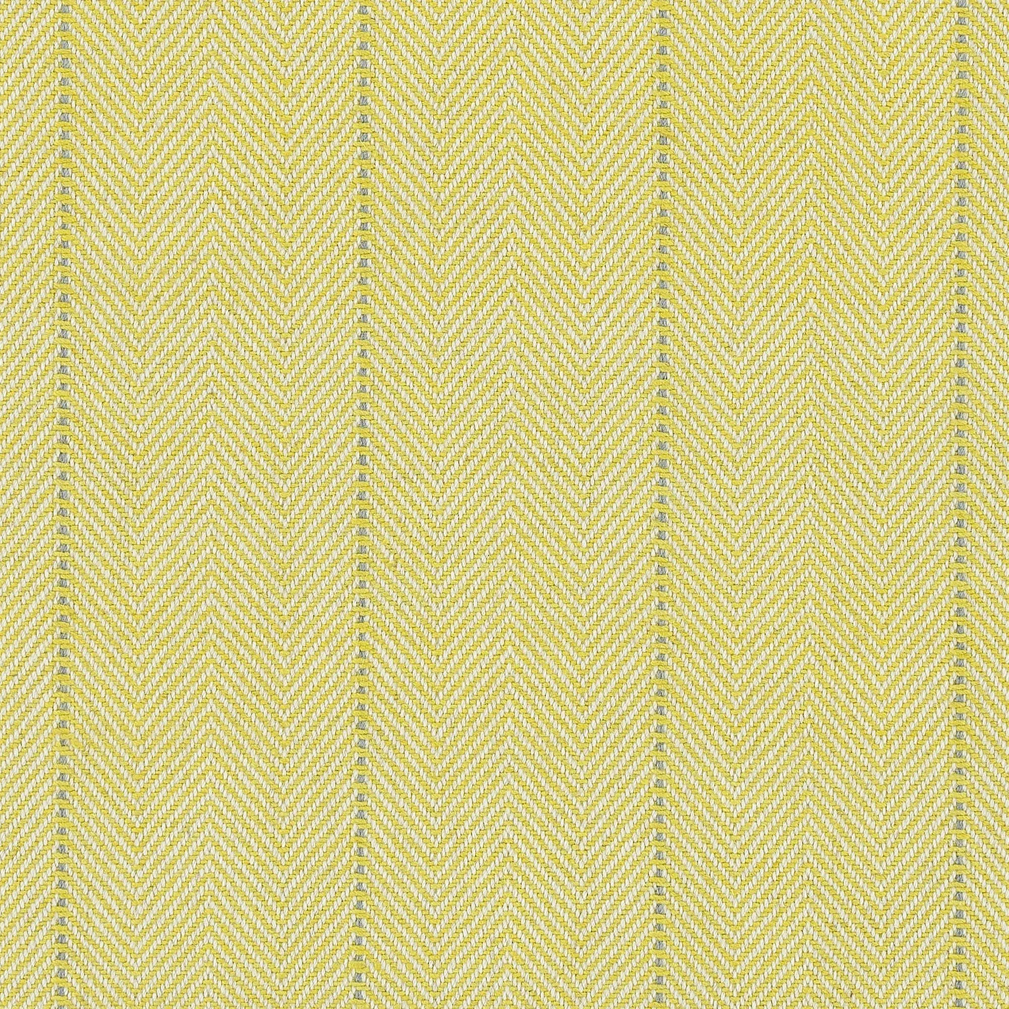 Percy Island Stripe