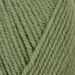 Plymouth Encore Worsted